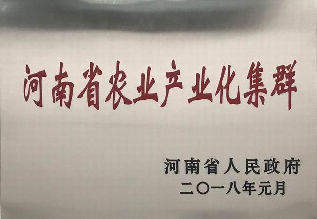 32.河南省农业产业化集群 2018.1